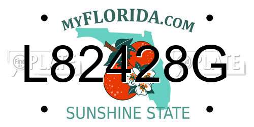 L82428G Florida License Plate