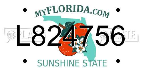 L824756 Florida License Plate
