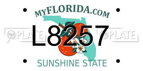 L8257 Florida License Plate