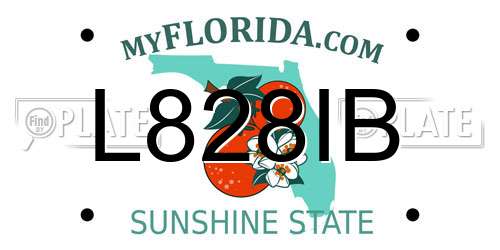 L828IB Florida License Plate