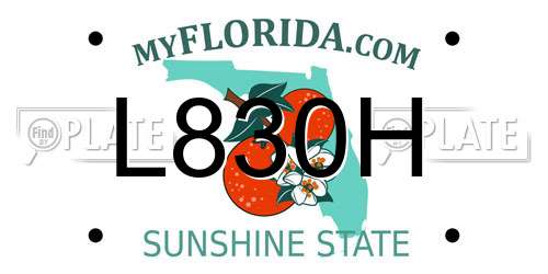 L830H Florida License Plate