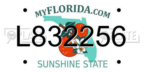 L832256 Florida License Plate