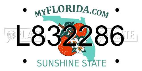 L832286 Florida License Plate