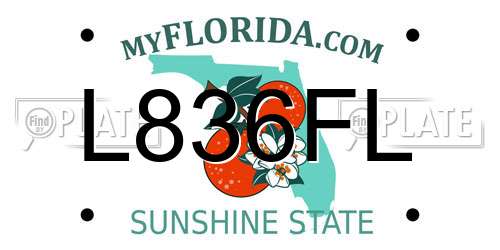 L836FL Florida License Plate