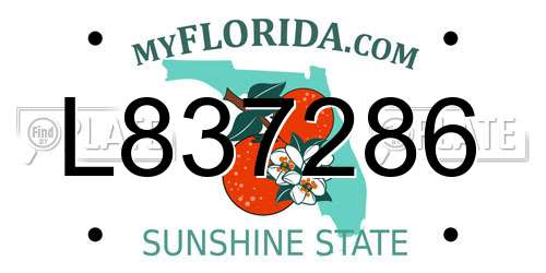 L837286 Florida License Plate
