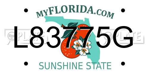 L83775G Florida License Plate