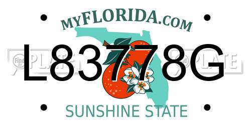 L83778G Florida License Plate