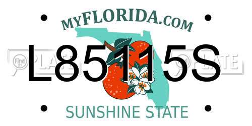 L85115S Florida License Plate