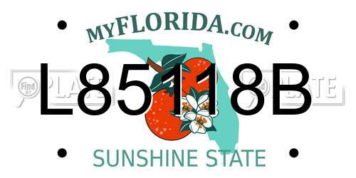 L85118B Florida License Plate