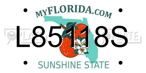 L85118S Florida License Plate