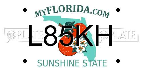 L85KH Florida License Plate