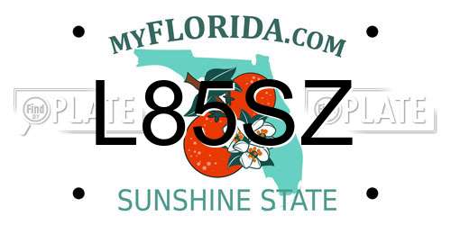 L85SZ Florida License Plate
