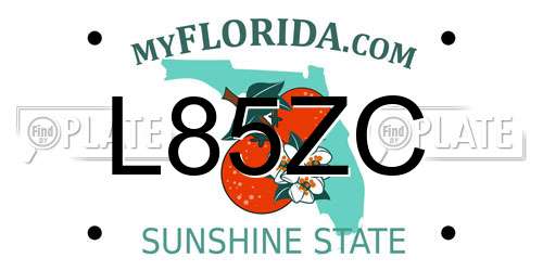 L85ZC Florida License Plate