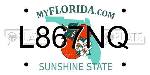L867NQ Florida License Plate