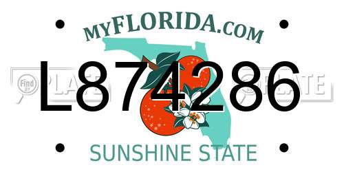 L874286 Florida License Plate