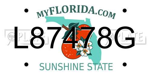 L87478G Florida License Plate
