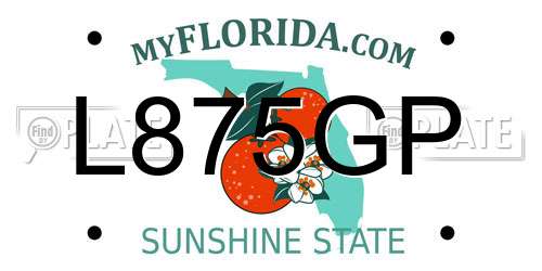 L875GP Florida License Plate