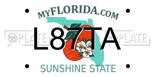 L87TA Florida License Plate