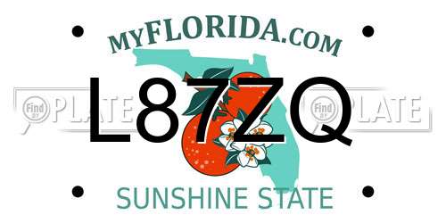 L87ZQ Florida License Plate