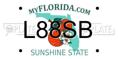 L88SB Florida License Plate