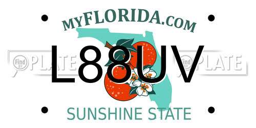 L88UV Florida License Plate