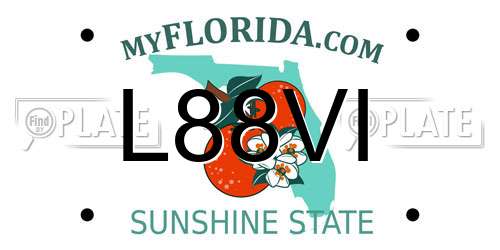L88VI Florida License Plate
