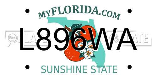 L896WA Florida License Plate