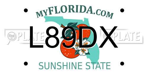 L89DX Florida License Plate