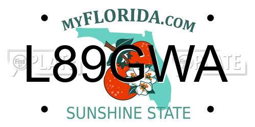 L89GWA Florida License Plate