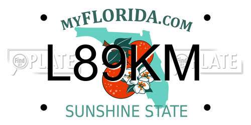 L89KM Florida License Plate