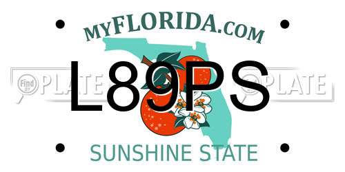 L89PS Florida License Plate