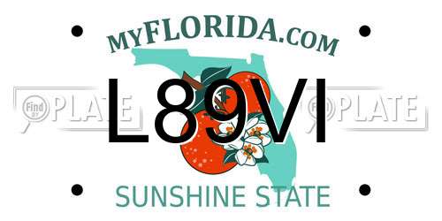 L89VI Florida License Plate