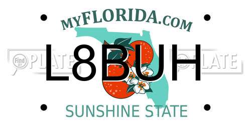 L8BUH Florida License Plate