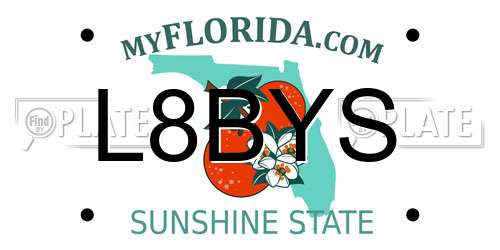 L8BYS Florida License Plate