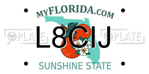 L8CIJ Florida License Plate