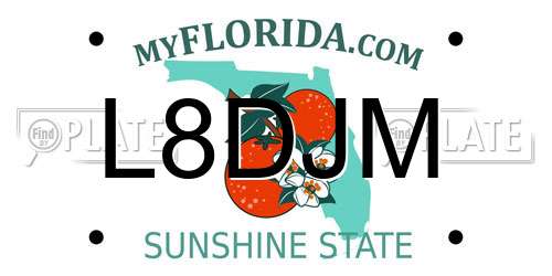 L8DJM Florida License Plate