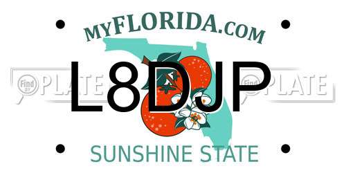 L8DJP Florida License Plate