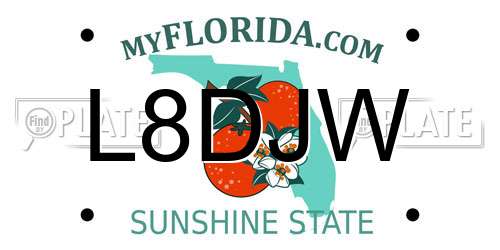 L8DJW Florida License Plate