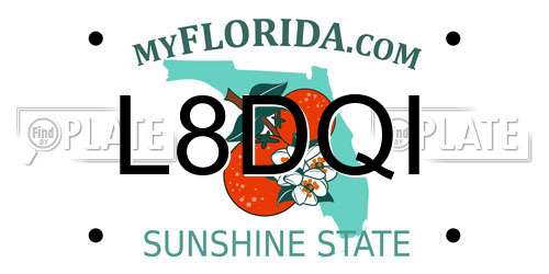 L8DQI Florida License Plate