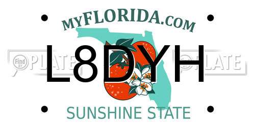 L8DYH Florida License Plate