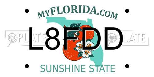 L8FDD Florida License Plate