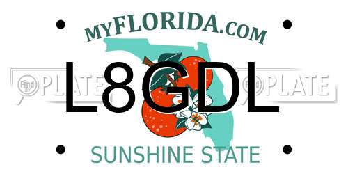 L8GDL Florida License Plate