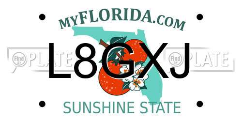 L8GXJ Florida License Plate
