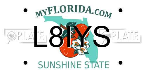 L8IYS Florida License Plate