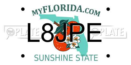 L8JPE Florida License Plate
