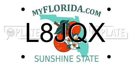 L8JQX Florida License Plate