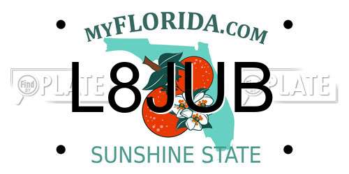 L8JUB Florida License Plate