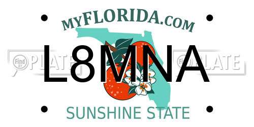 L8MNA Florida License Plate