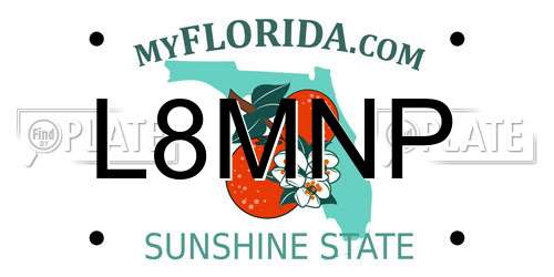 L8MNP Florida License Plate