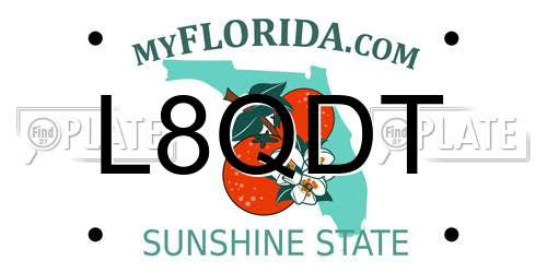 L8QDT Florida License Plate